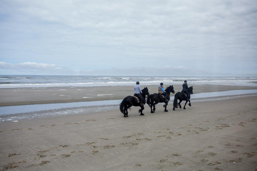 Appartementenhotel Tjermelan Terschelling Oosterend  Εξωτερικό φωτογραφία